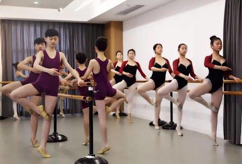 新鄭市專業(yè)一流的舞蹈培訓(xùn)來啦 9.9元體驗(yàn)課，師資、環(huán)境、價(jià)格全面開掛